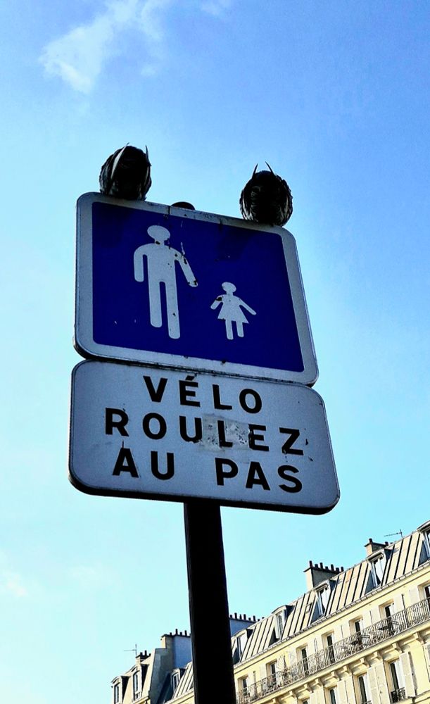 Deux pigeons sur un panneau de circulation 