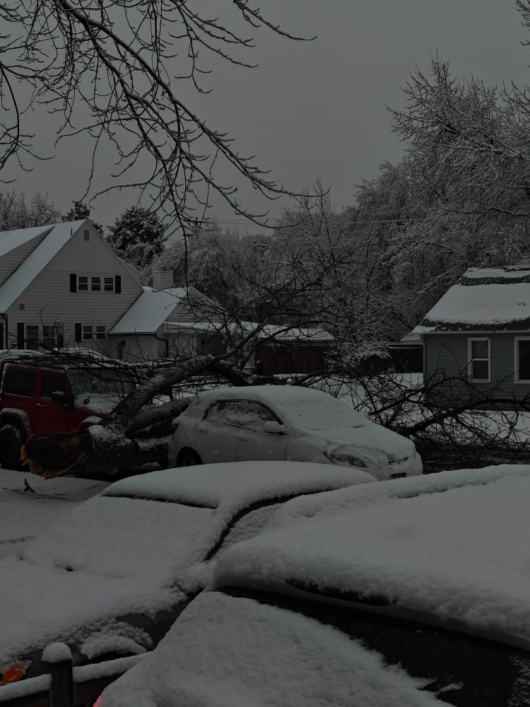 And street is impassable with tree limb in road