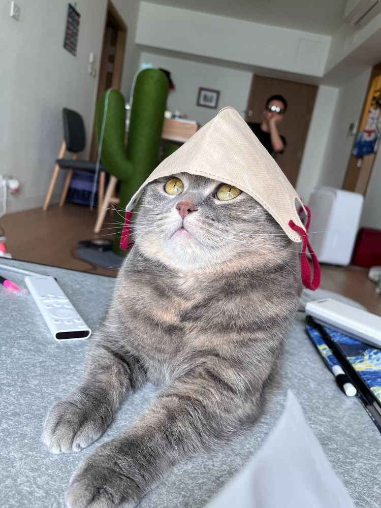 Miffy with a new hat 👒 