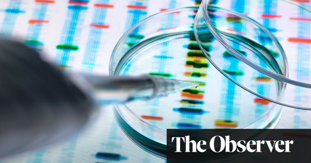 ‘The situation has become appalling’: fake scientific papers push research credibility to crisis...