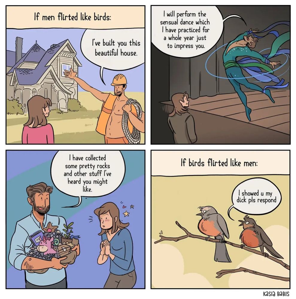Kasia Babis comic imagining men flirting like birds

Panel 1: I built you this beautiful house
Panel 2: I will perform the sensual dance which I have praticed for a whole year just to impress you
Panel 3: I have collected some pretty rocks and other stuff I heard you might like
Panel 4: (if birds flirted like men) a bird says "I showed you my dick pls respond"