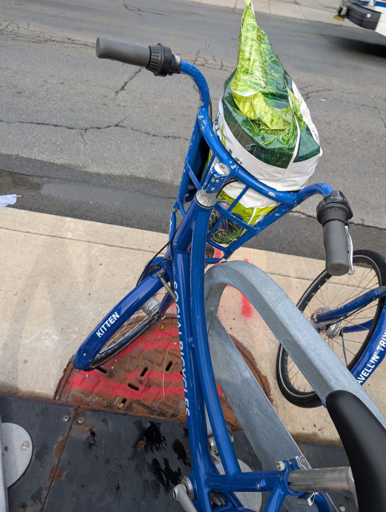 A blue Hamilton Bike Share bike named Kitten with a large, 20lb bag of cat litter in the front basket.