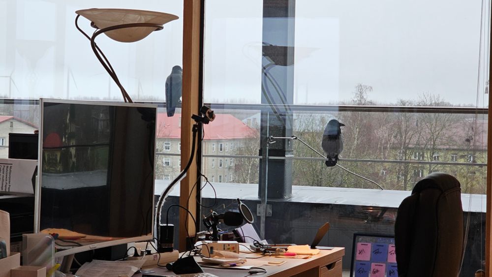My desk against the window and two crows on the railing