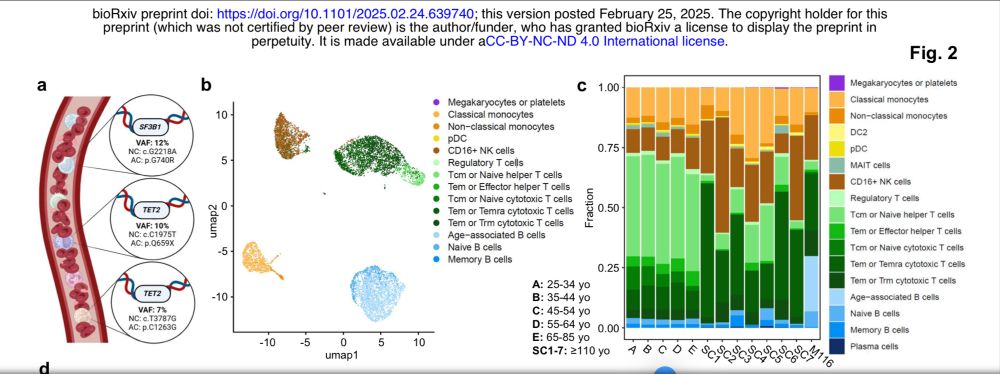 Fig 2 of preprint showing CHIP mutations and transcriptional profiling of PBMCs.
