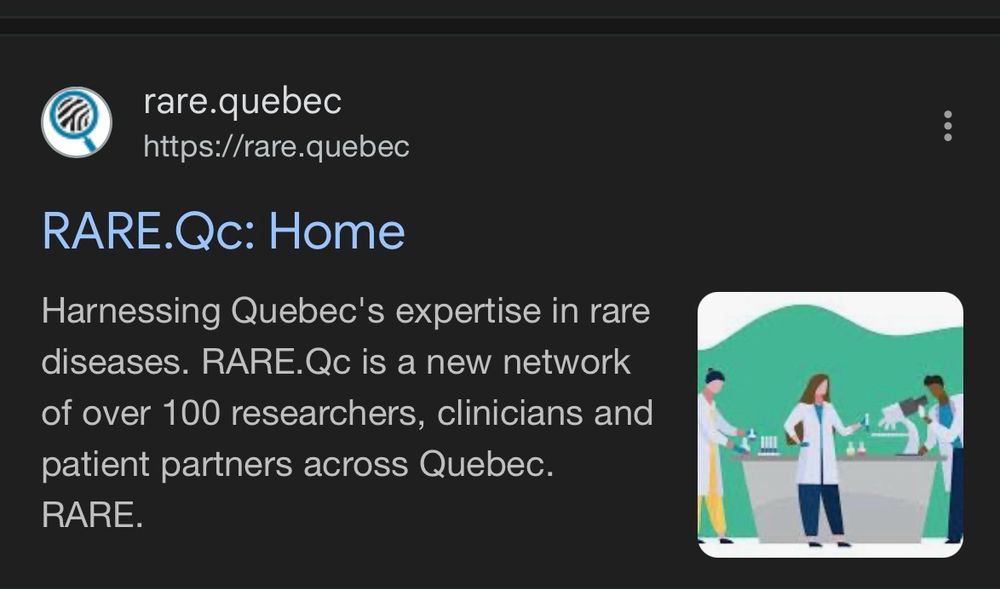 A screenshot of what appears when you search on Google for the website: https://rare.quebec
