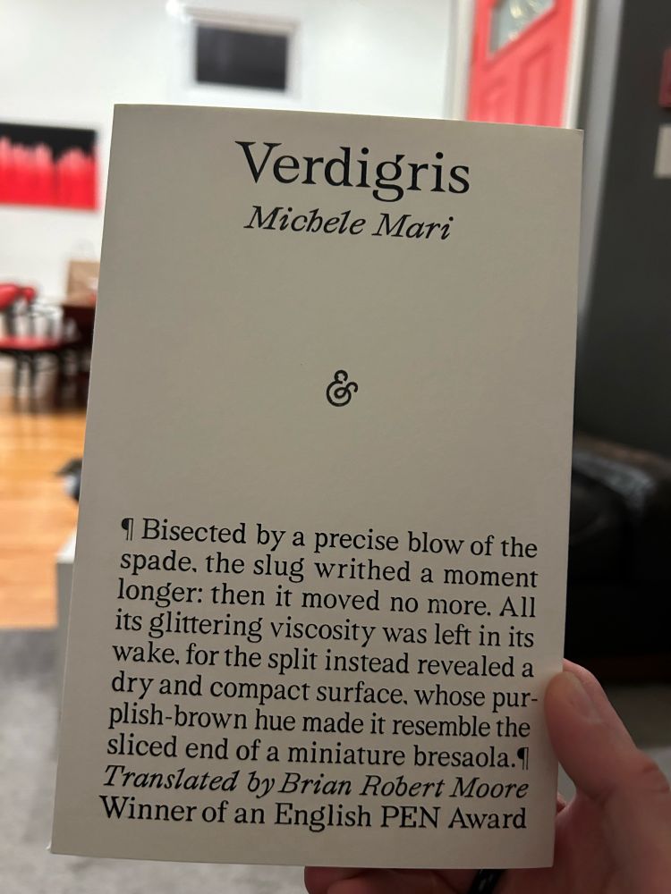 Dangerous secrets: Verdigris, by Michele Mari, reviewed