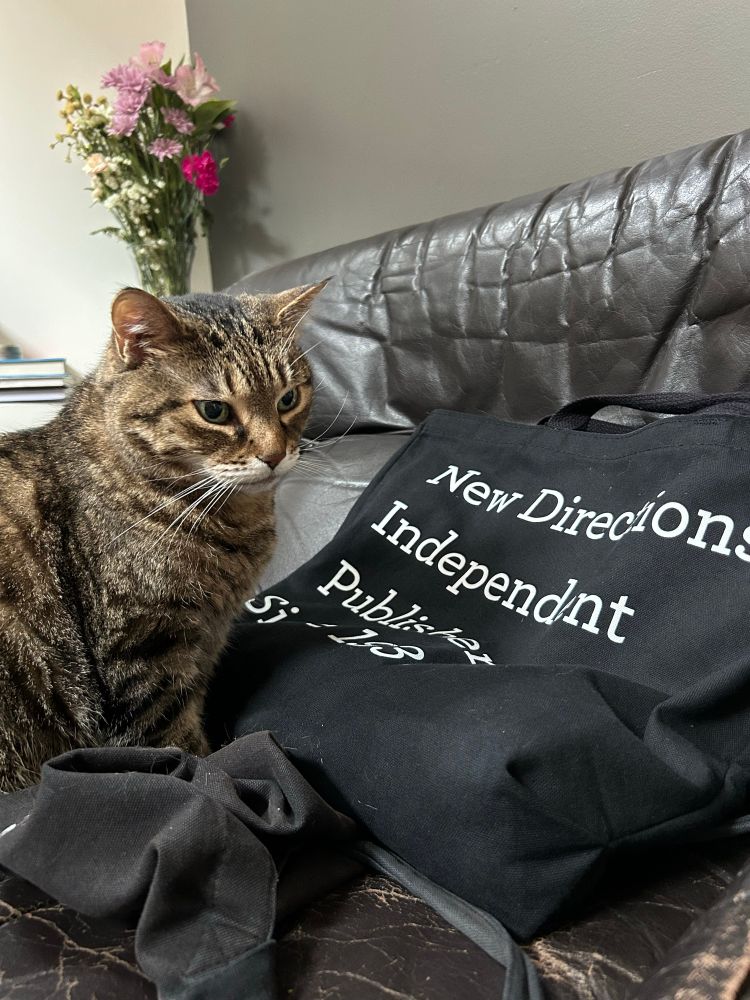 cat sitting on a chair next to a New Directions tote bag, staring into the middle distance like she’s just been reading an ND book