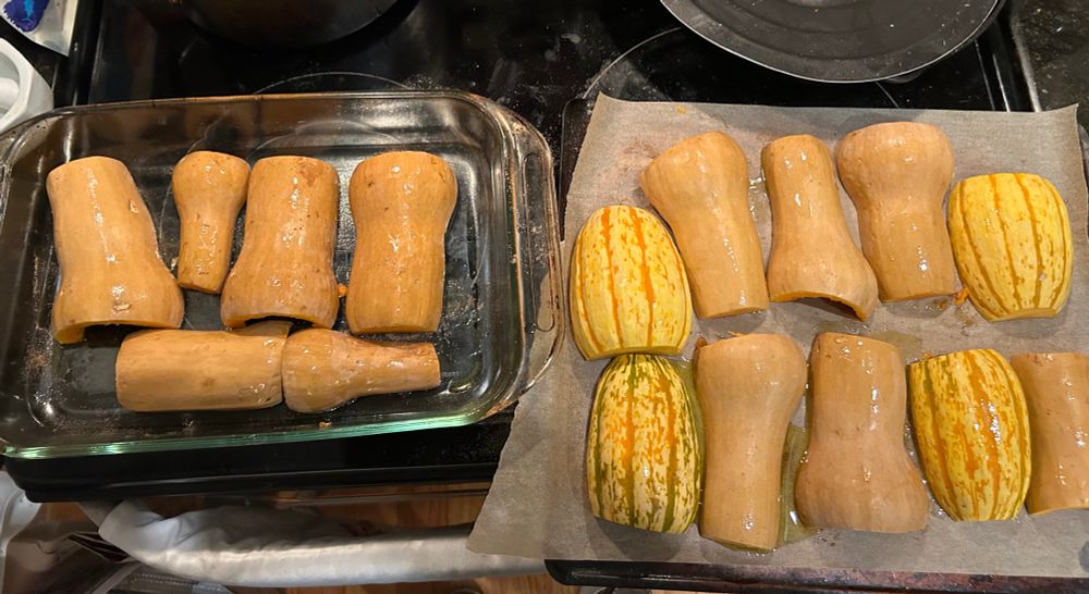 some goddamned kind(s) of gourd, too much for one meal

(small honey patch and delicata squash, a lot of them, prepped with olive oil and spices, cut side down to roast)