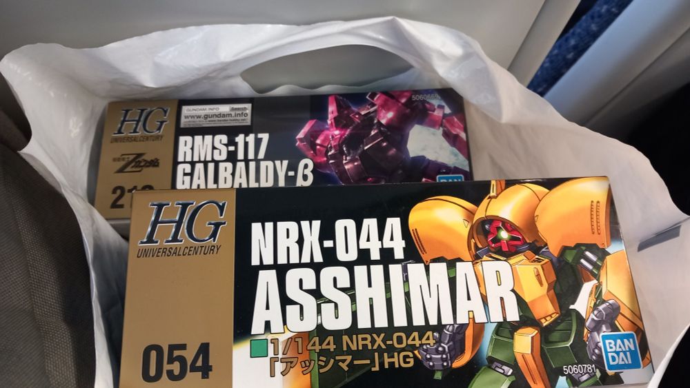Picture of the HG Galbady Beta and HG Asshimar in a plastic bag.