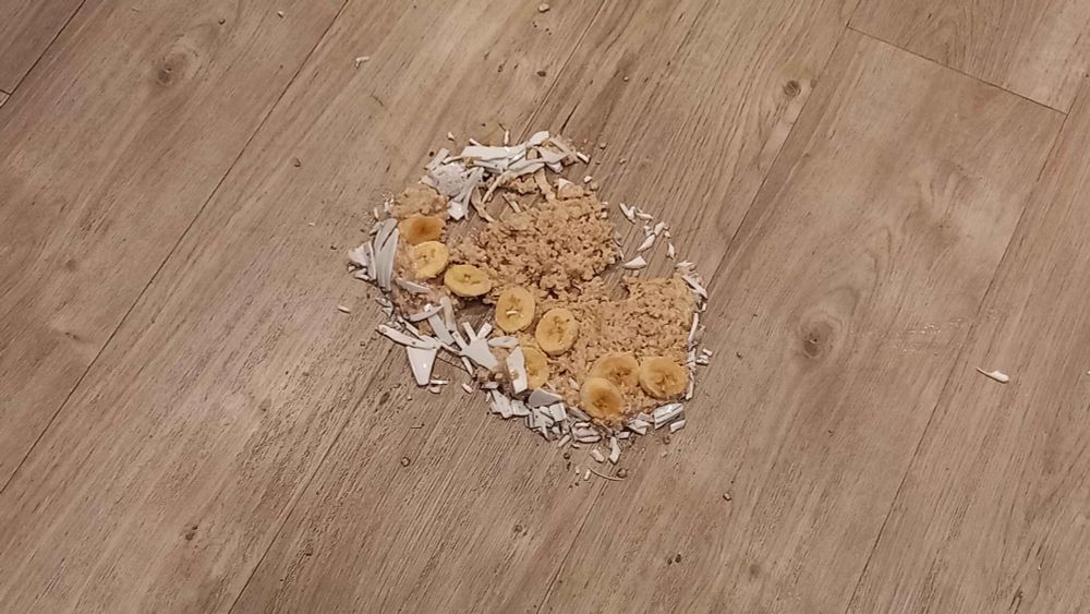 a broken bowl of oatmeal on the floor