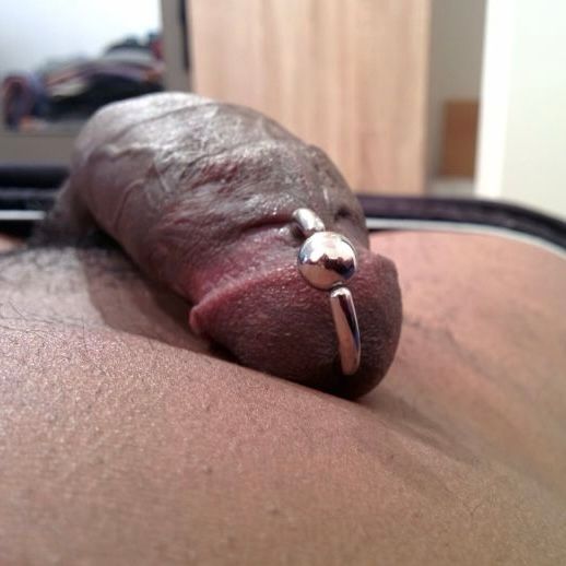 my brown hued penis healed post-piercing, with a ring inside. viewing angle from above, top-down to middle of body/penis. 
