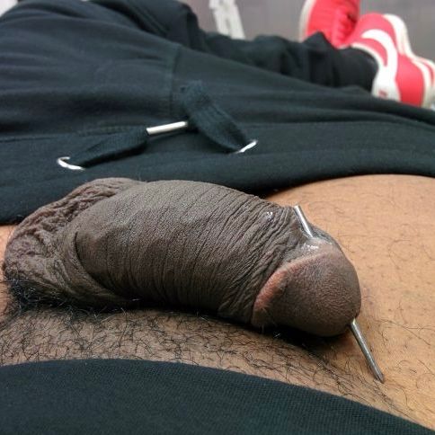 my brown hued penis being pierced for a Prince Albert configured hole. 