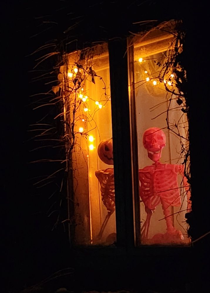 Two skeletons in the window, looking out. One pink and one orange with a pumpkin head.