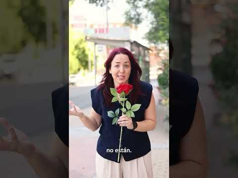 🏛️ Pleno de Julio Ayuntamiento de Alcalá de Henares