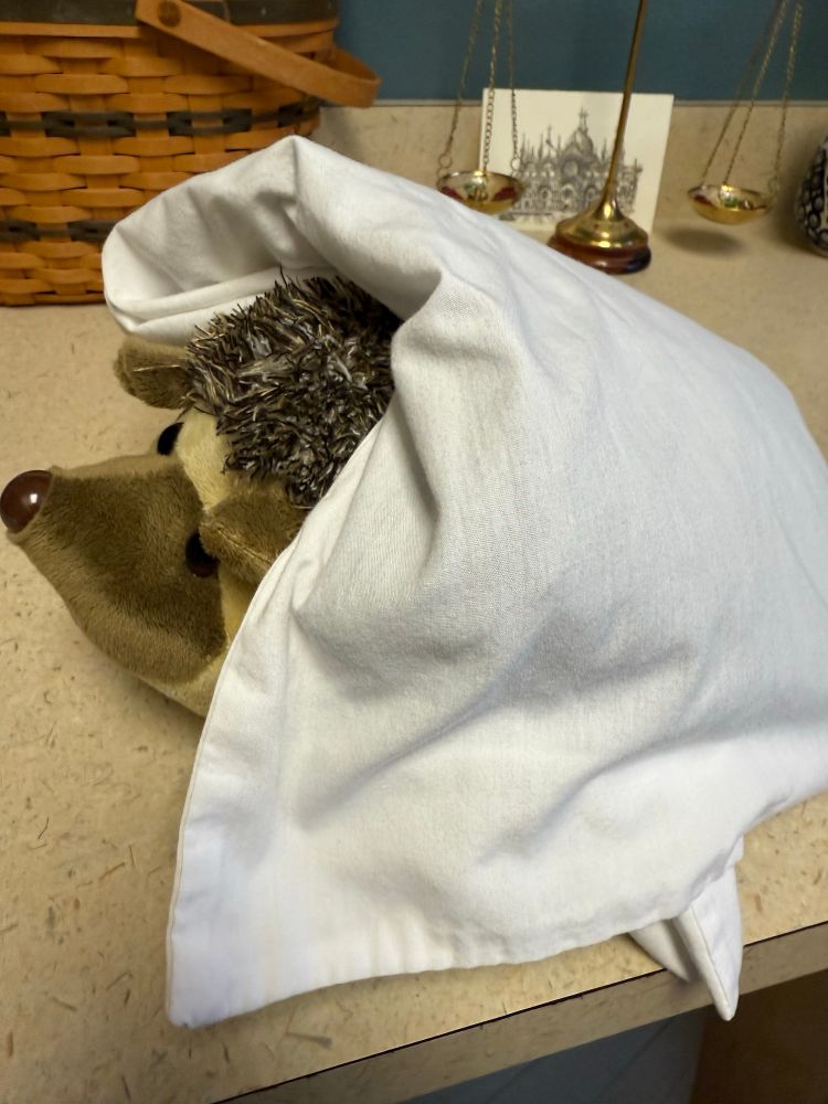 A hedgehog stuffed animal sitting on a desk with an ice pack in a pillow case draped across the back of the hedgehog. 
He’s just chilling. 
