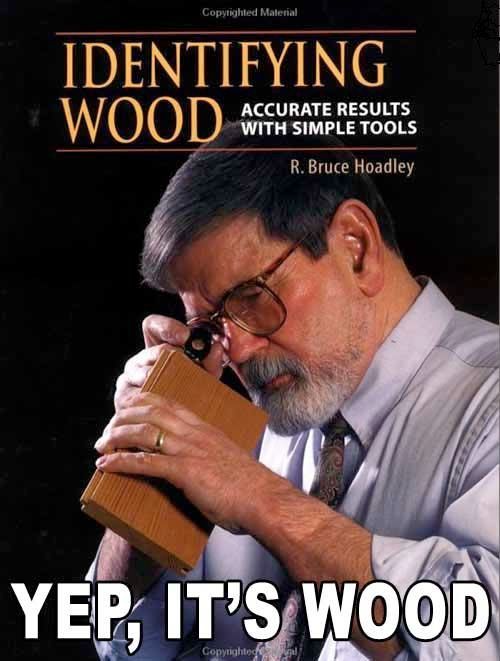 Couverture du livre « Identifying Wood, Accurate Results with Simple Tools ». On y voit quelqu'un qui regarde du bois avec une loupe. Un message est écrit au dessous : « Yep, it's wood ».