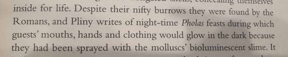 Despite their nifty burrows they were found by the Romans, and Pliny writes of night-time Pholas feasts during which guests' mouths, hands and clothing would glow in the dark because they had been sprayed with the molluscs' bioluminescent slime...