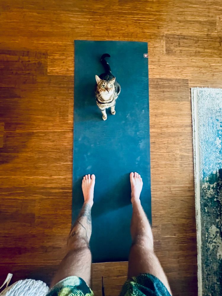 Cat on a blue yoga mat and hairy legs 