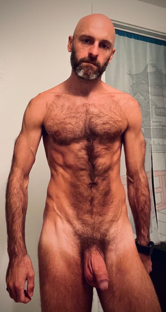 Hairy bald man’s torso and big hanging dick