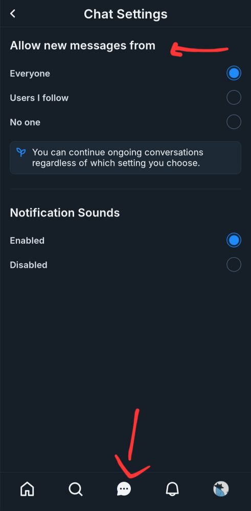 A screenshot of the bluesky message settings with arrows pointing as a guide