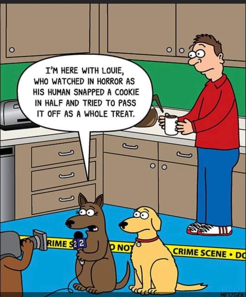 Comment image