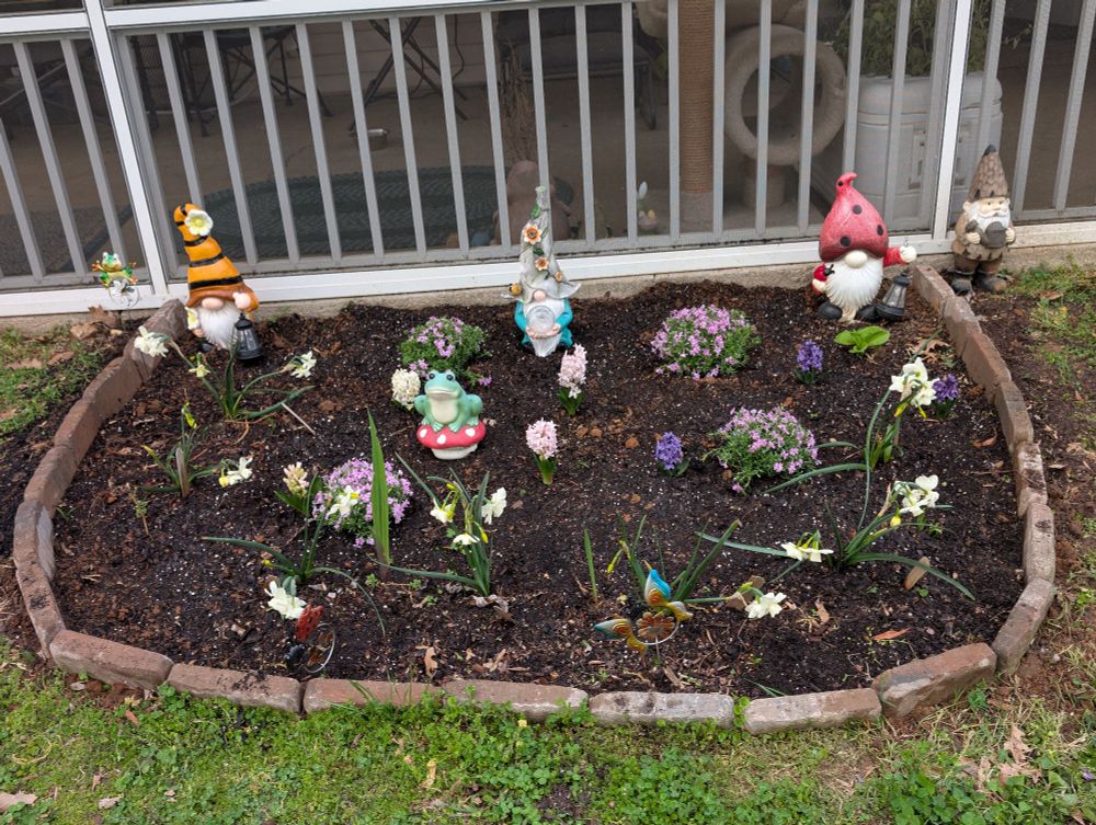 Wide photo of flower bed with a few white tulips, small purple hyacinth flowers, purple creeping phlox. With couple of garden gnomes decorated as a bee hive, Lady bug, and a statue of frog on a mushroom