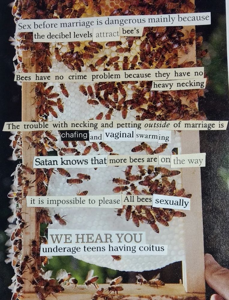 Words cut out from religious abstinence books are pasted onto a background of an active beehive. The text reads, 