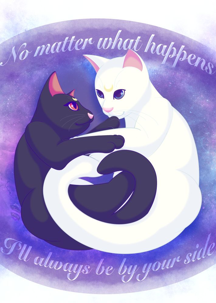 Luna and Artemis from Sailor Moon. Black cat. White cat. Magical girl.