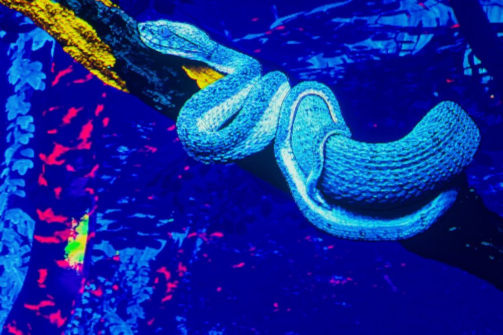 Panneau de LED représentant un serpent avec des marques visibles en lumière noire