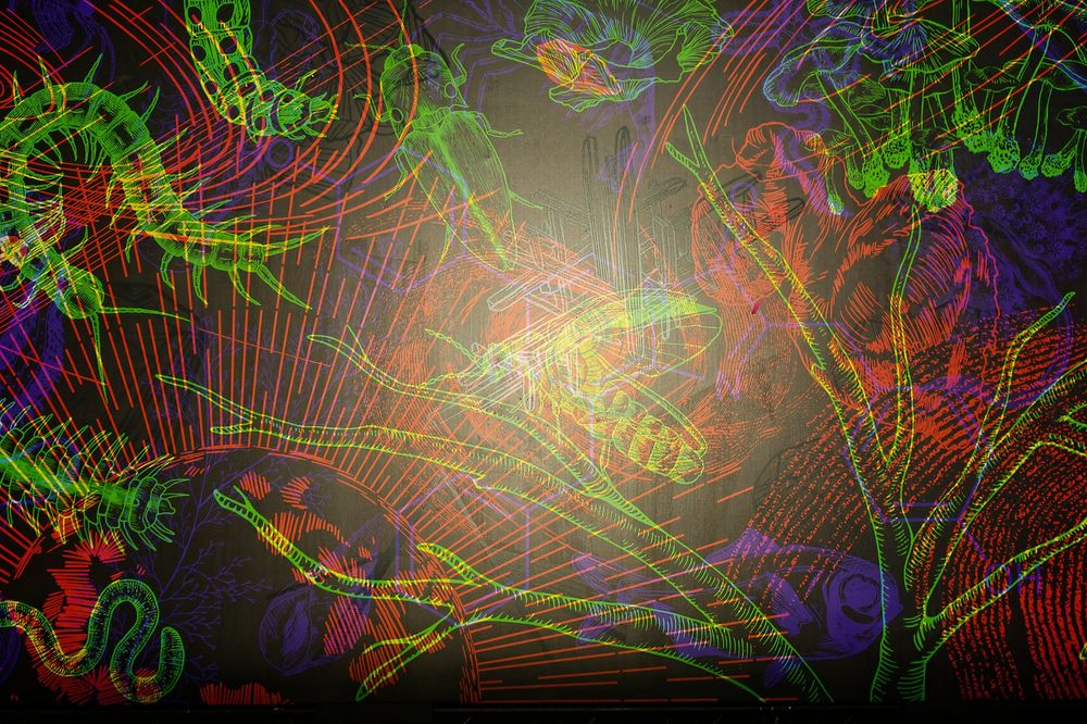 Panneaux de LED représentant diverses espèces lumineuses dans la nature