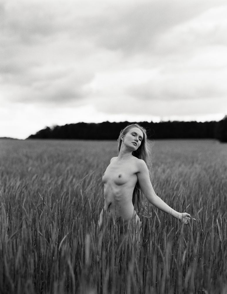 The photograph presents a striking, monochrome portrait of a woman standing in a field of tall, dense grasses. The image is bathed in soft, diffused light that emphasizes texture and form. The woman is centrally positioned, her figure subtly emerging from the surrounding foliage. She is nude, her body rendered in delicate tones, showcasing a natural elegance and grace. Her gaze is directed slightly upwards, conveying a sense of introspection or quiet confidence. Her hair, a cascade of light strands, flows freely around her shoulders and down her back, blending with the textures of the grasses. One arm is extended outwards, gently touching the surrounding foliage, while the other hangs loosely at her side. The field itself dominates the foreground, the individual blades of grass creating a layered, almost shimmering effect. The background consists of a dark, tree-lined horizon, creating a stark contrast with the lighter foreground. The sky is overcast, with soft, diffused cloud formations visible, contributing to the overall atmospheric quality of the scene. The absence of color focuses attention on the interplay of light and shadow, the textures of the grass and skin, and the woman's contemplative expression. There’s a subtle depth to the image, with the grasses appearing more detailed in the foreground, gradually softening as they recede towards the horizon.
