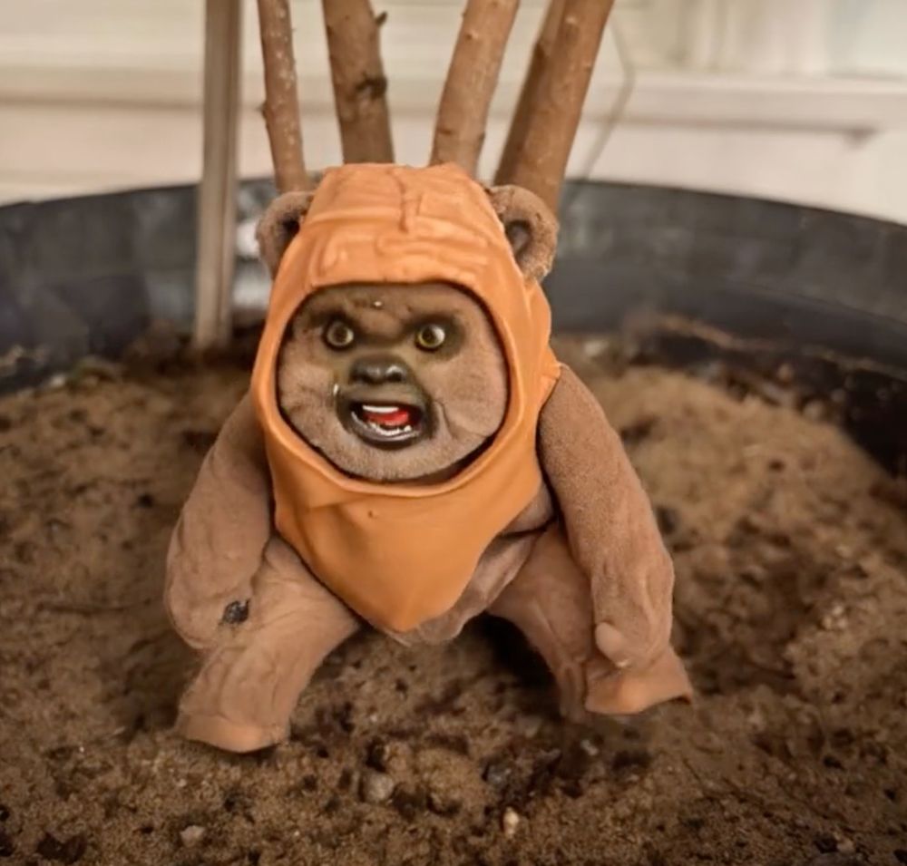 Wicket the Ewok is standing in a pile of dirt yelling out of anger and frustration. 