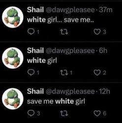 series of tweets from Shail @dawgpleasee from most to least recent, reading "white girl... save me... (37m)", "white girl (6h)", "save me white girl (12h)".