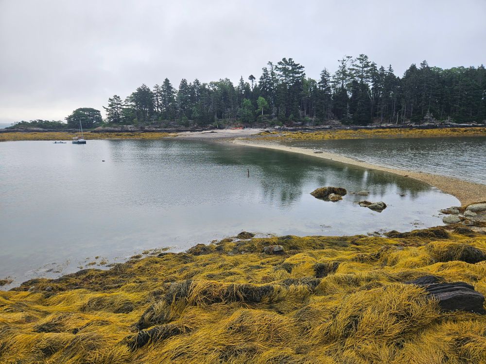 A small sailboat anchored near a rustic foggy beach in Casco Bay, Maine.