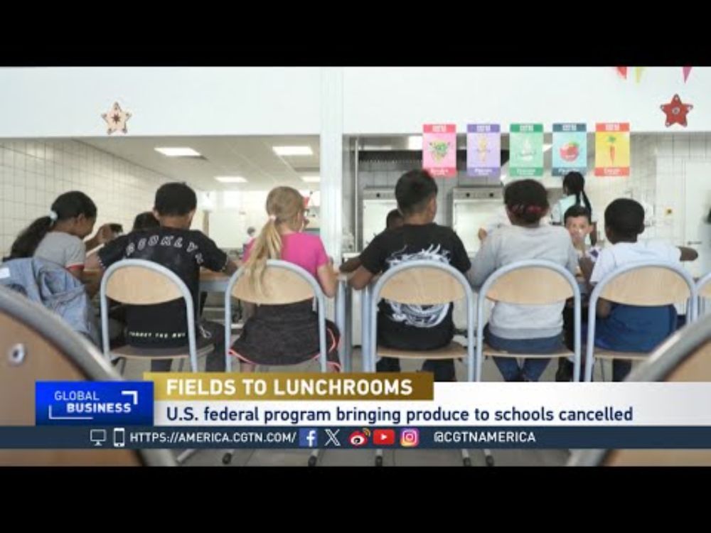 Global Business: U.S. School Food Programs Face Economic Crossroads