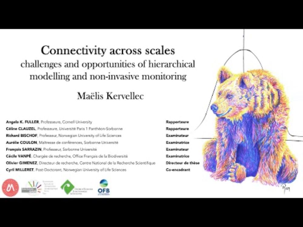 PhD defense Maëlis Kervellec