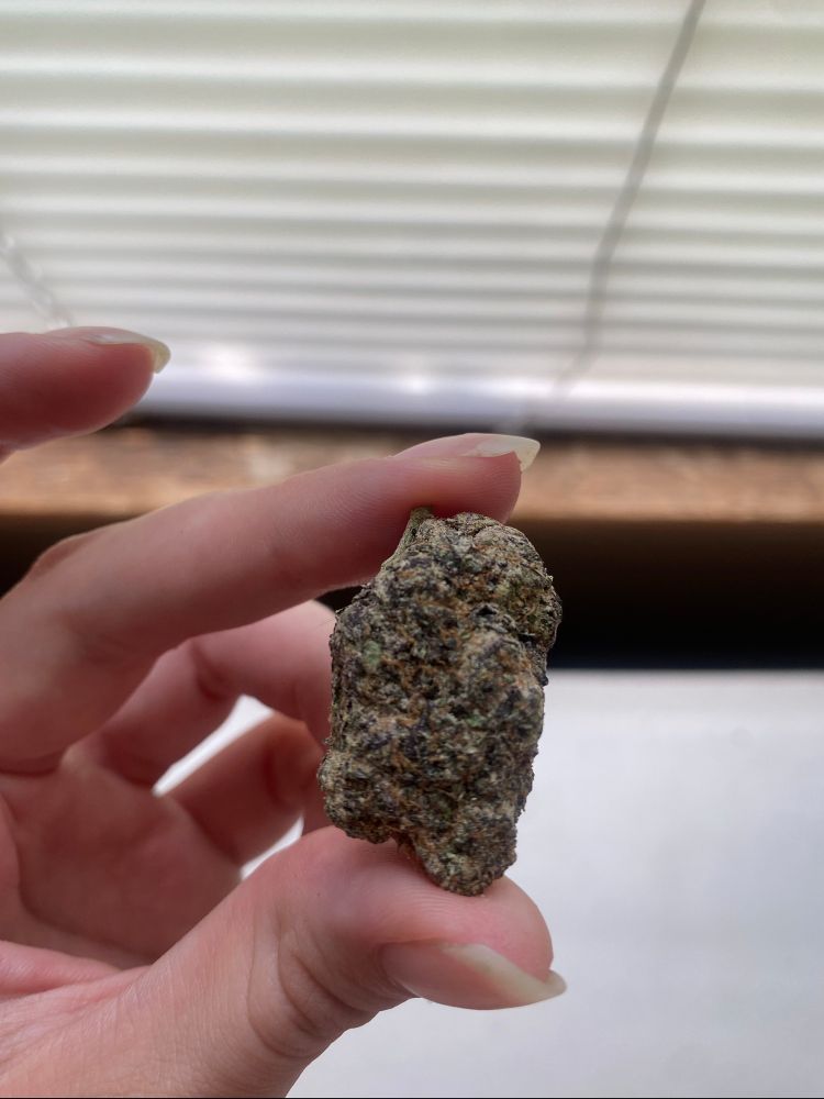 Pale femme hand holding a large piece of og venus bud