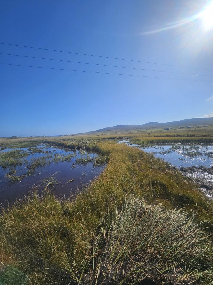 New site, and habitat works installed in Unst 