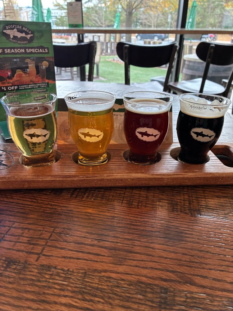 Dogfish beer flight