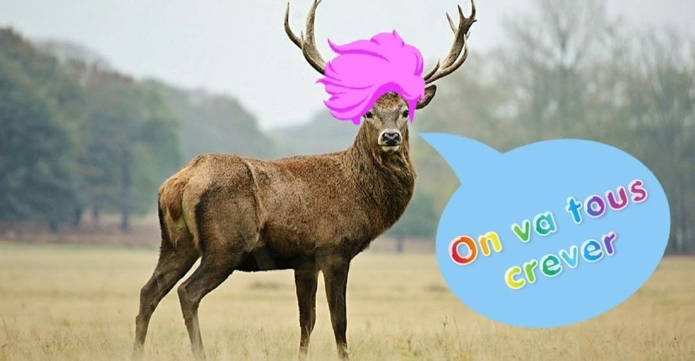 C'est un majestueux cerf qui porte une perruque rose. Une bulle de BD lui permet de nous passer le message suivant : "on va tous crever" (avec une typo couleur arc en ciel, c'est très important).