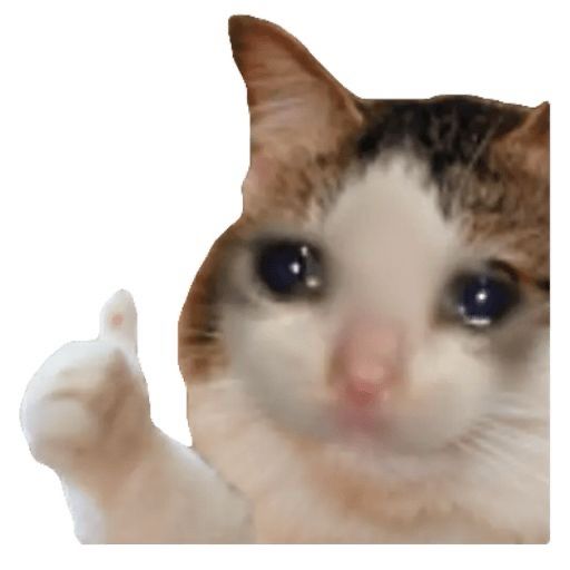 Sad cat with a little thumbs up