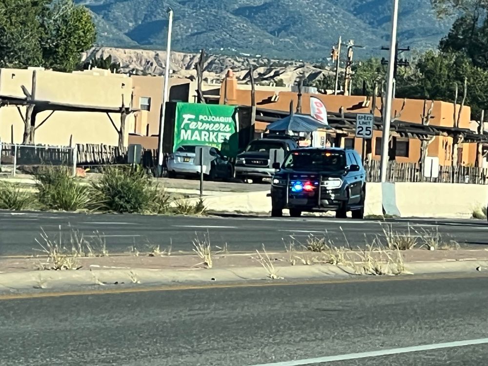 Police vehicle with lights on
