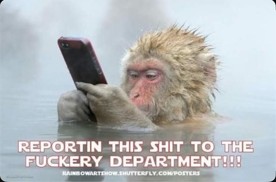 Comment image