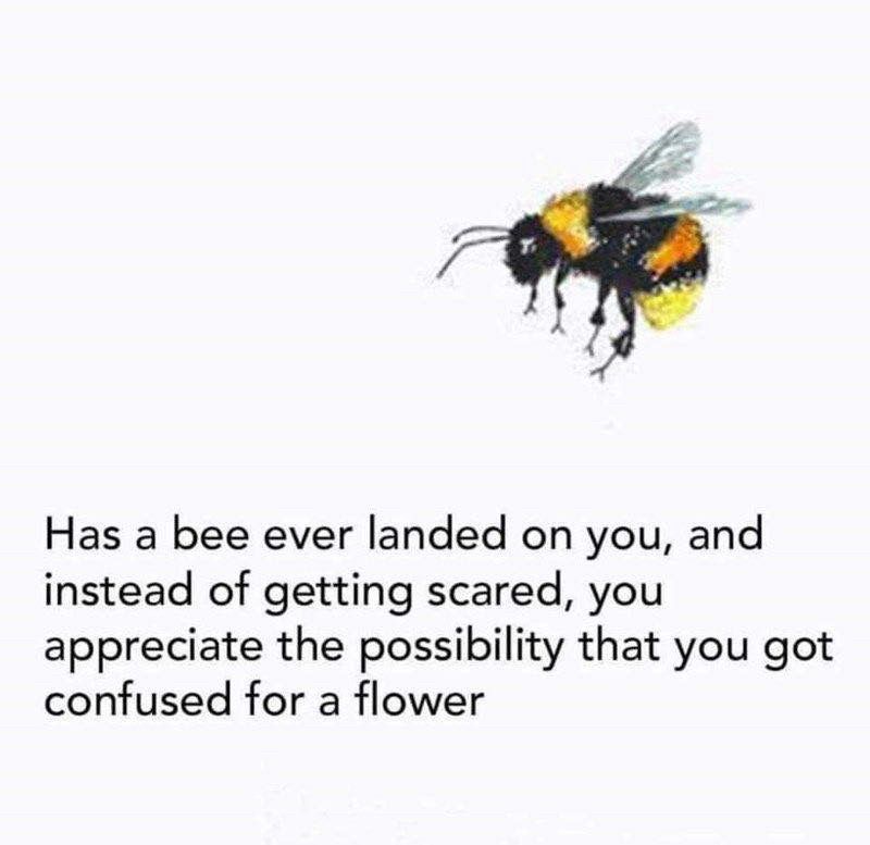 Has a bee ever landed on you, and instead of getting scared, you appreciate the possibility that you got confused for a flower. 