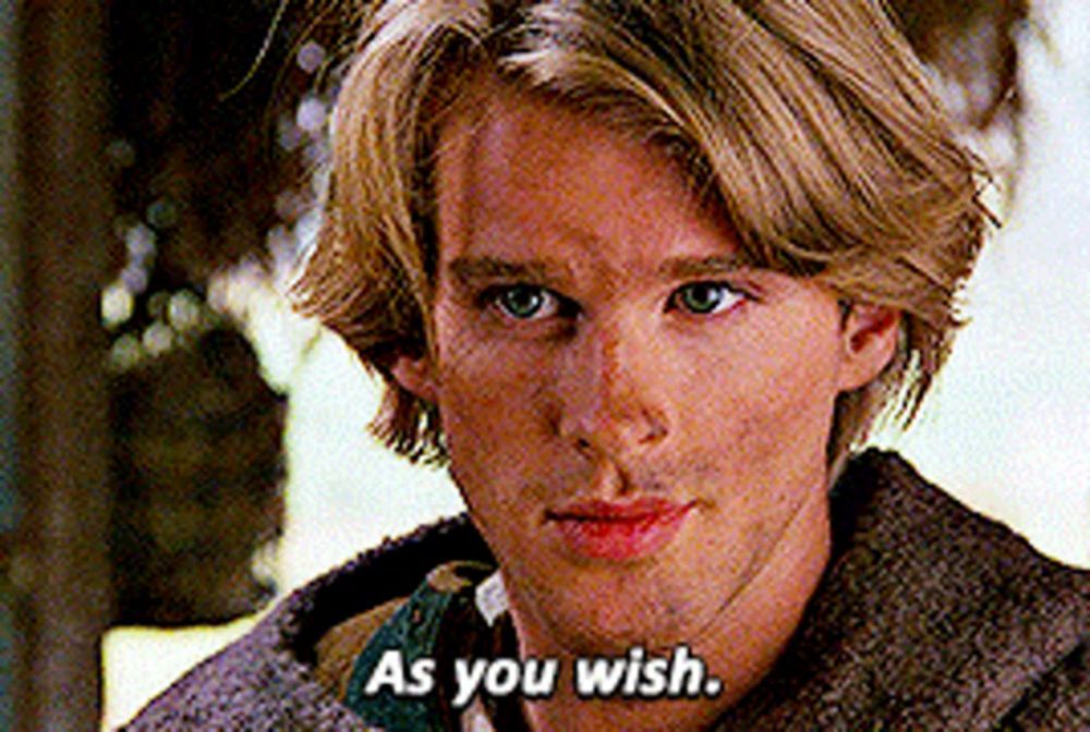 As You Wish Princess Bride GIF