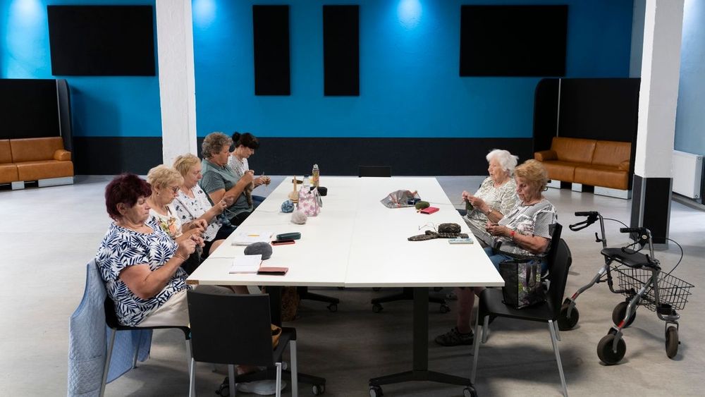 (S+) AfD setzt Zivilgesellschaft in Ostdeutschland unter Druck: Wie die CDU ihr dabei hilft