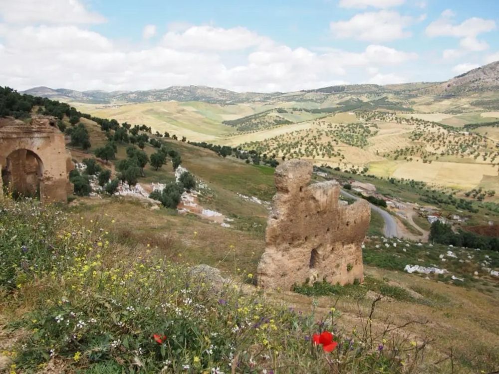 A view looking North from a hillside outside the town of Fes, Morocco 🇲🇦. Nearby there’s a few late season red and yellow flowers in bloom. Ancient ruins stand decaying in the foreground, against s green and brown grassy hillside. In the distance, gentle rolling hills are lit in a sun that has left the foreground behind. Trees in a rough orchard pattern dot the gray hills, as well as Mediterranean shrubberies. The only sign of modern civilization is a small ribbon of a paved road in the mid-distance, just below a grove if gravestones.