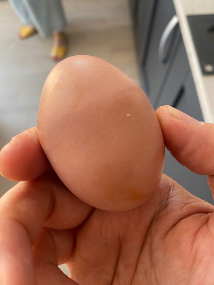 An egg, with weird lumpy middle
