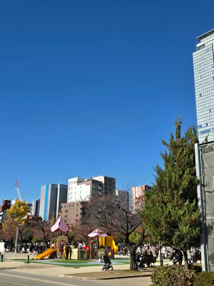 錦糸公園の青空
