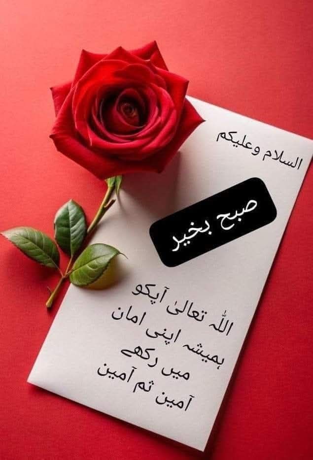 Comment image